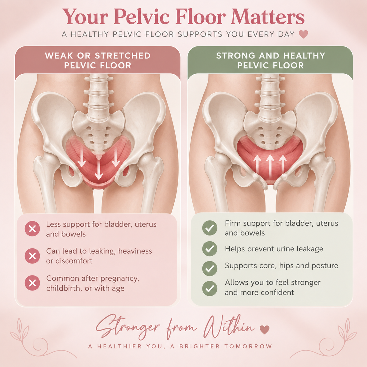 Core & Bloom Thigh & Pelvic Floor Trainer